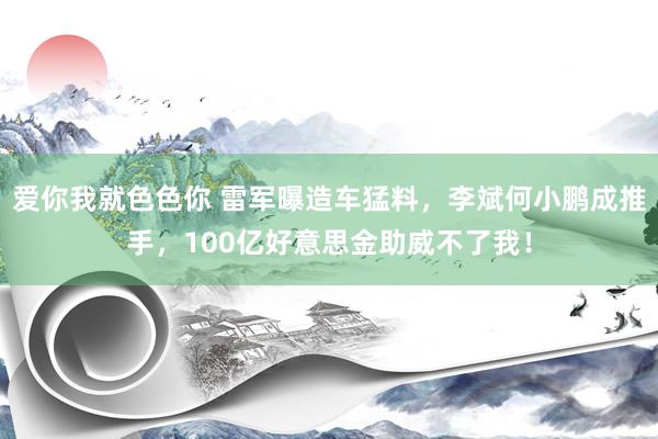 爱你我就色色你 雷军曝造车猛料，李斌何小鹏成推手，100亿好意思金助威不了我！