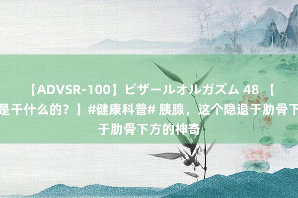 【ADVSR-100】ビザールオルガズム 48 【胰腺到底是干什么的？】#健康科普# 胰腺，这个隐退于肋骨下方的神奇