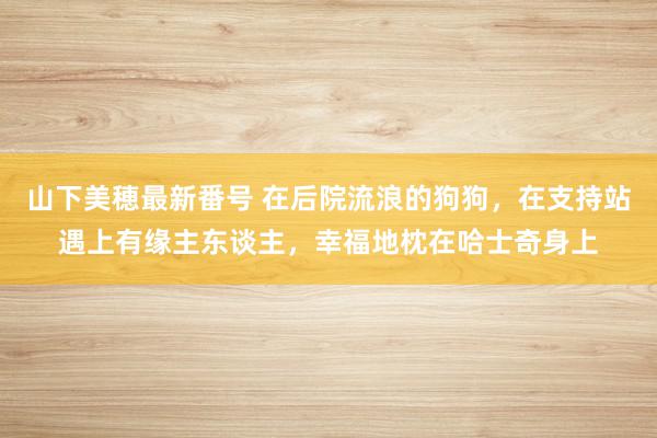 山下美穂最新番号 在后院流浪的狗狗，在支持站遇上有缘主东谈主，幸福地枕在哈士奇身上