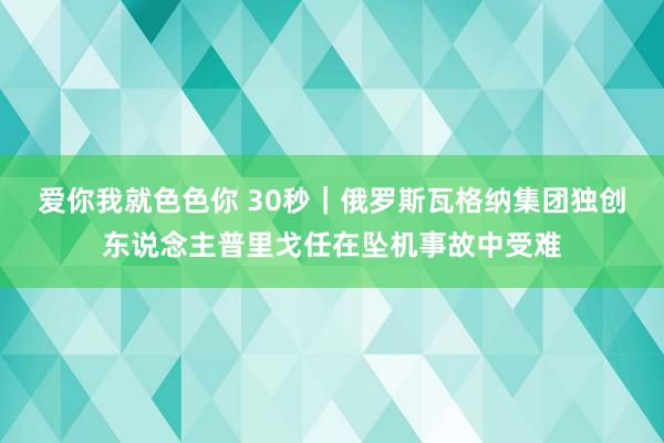 爱你我就色色你 30秒｜俄罗斯瓦格纳集团独创东说念主普里戈任在坠机事故中受难