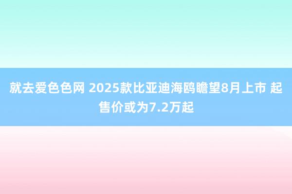 就去爱色色网 2025款比亚迪海鸥瞻望8月上市 起售价或为7.2万起