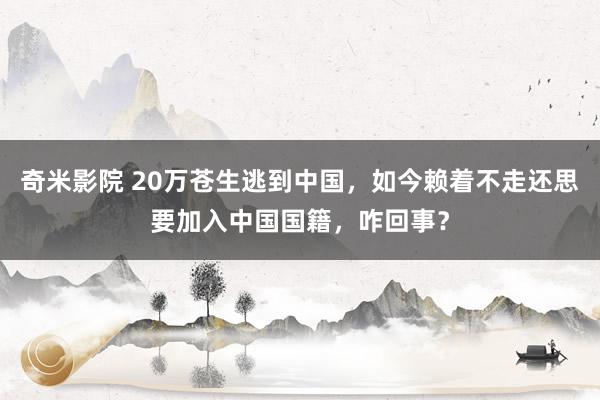 奇米影院 20万苍生逃到中国，如今赖着不走还思要加入中国国籍，咋回事？