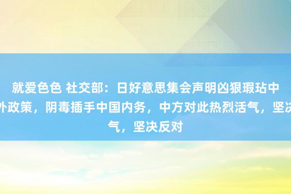 就爱色色 社交部：日好意思集会声明凶狠瑕玷中国对外政策，阴毒插手中国内务，中方对此热烈活气，坚决反对