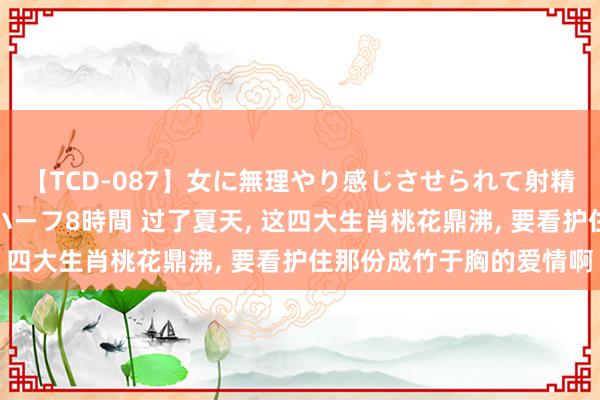 【TCD-087】女に無理やり感じさせられて射精までしてしまうニューハーフ8時間 过了夏天, 这四大生肖桃花鼎沸, 要看护住那份成竹于胸的爱情啊