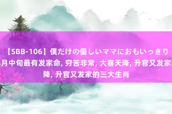 【SBB-106】僕だけの優しいママにおもいっきり甘えたい 8月中旬最有发家命, 穷苦非常, 大喜天降, 升官又发家的三大生肖