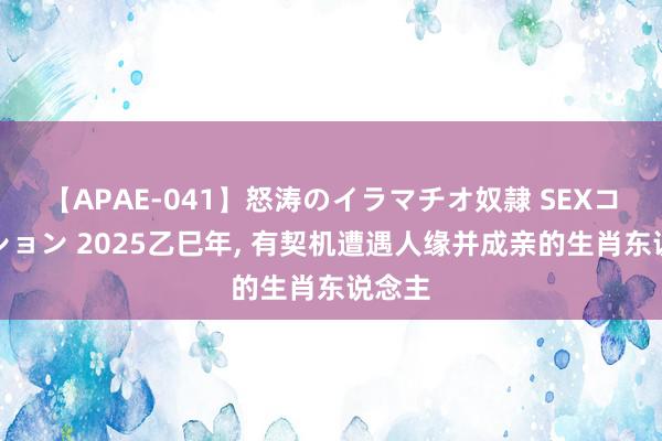 【APAE-041】怒涛のイラマチオ奴隷 SEXコレクション 2025乙巳年, 有契机遭遇人缘并成亲的生肖东说念主