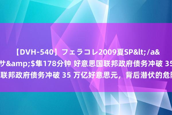 【DVH-540】フェラコレ2009夏SP</a>2010-04-25ハヤブサ&$隼178分钟 好意思国联邦政府债务冲破 35 万亿好意思元，背后潜伏的危险究竟几何？