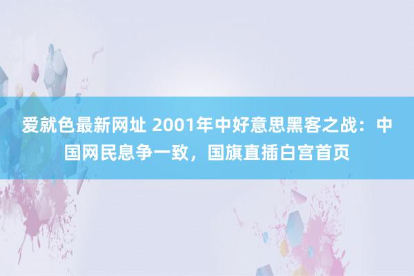 爱就色最新网址 2001年中好意思黑客之战：中国网民息争一致，国旗直插白宫首页