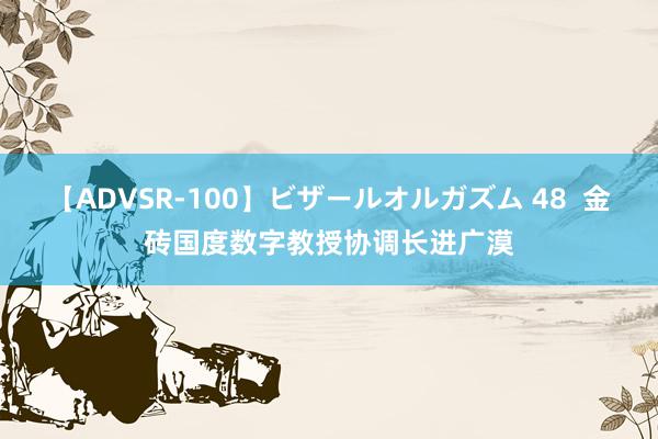 【ADVSR-100】ビザールオルガズム 48  金砖国度数字教授协调长进广漠