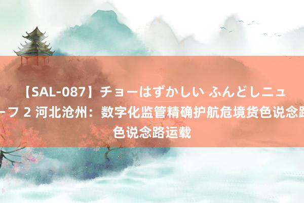 【SAL-087】チョーはずかしい ふんどしニューハーフ 2 河北沧州：数字化监管精确护航危境货色说念路运载