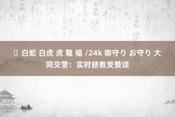 ✨白蛇 白虎 虎 龍 福 /24k 御守り お守り 大同交警：实时拯救受赞颂