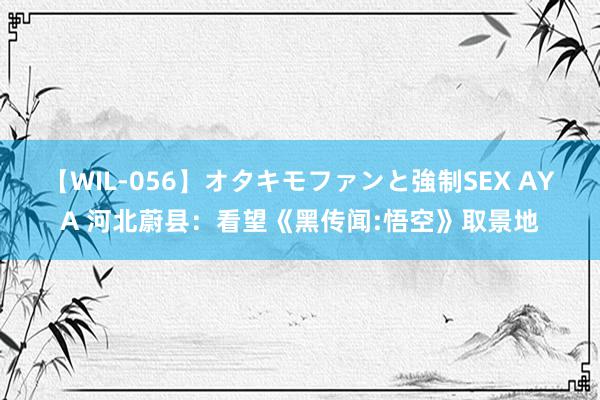 【WIL-056】オタキモファンと強制SEX AYA 河北蔚县：看望《黑传闻:悟空》取景地