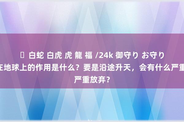 ✨白蛇 白虎 虎 龍 福 /24k 御守り お守り 蚊子在地球上的作用是什么？要是沿途升天，会有什么严重放弃？