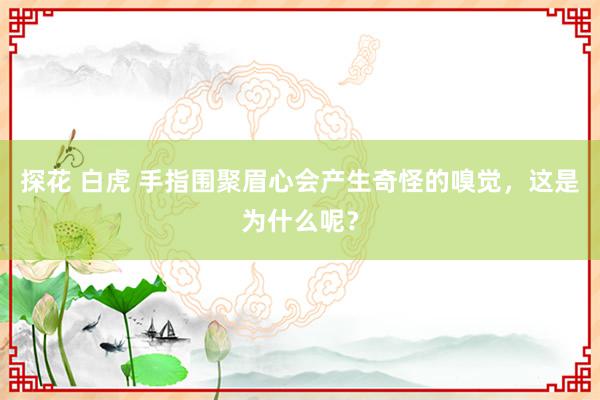 探花 白虎 手指围聚眉心会产生奇怪的嗅觉，这是为什么呢？