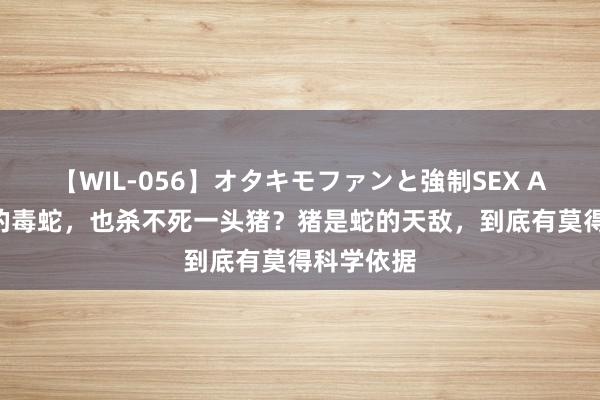 【WIL-056】オタキモファンと強制SEX AYA 再毒的毒蛇，也杀不死一头猪？猪是蛇的天敌，到底有莫得科学依据