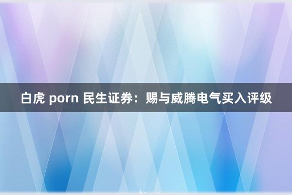 白虎 porn 民生证券：赐与威腾电气买入评级